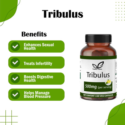 Tribulus 500mg Capsules: Boost Your Strength, Stamina, and Vitality Naturally